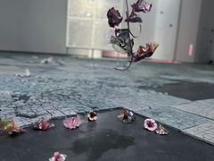 -上海外滩美术馆