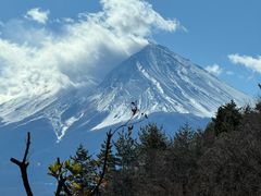 -河口湖车站