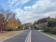-同里国家湿地公园
