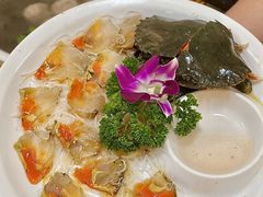 -官塘陈记鱼生·潮汕砂锅粥·牛肉火锅(潮枫路总店)