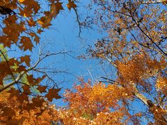 -玉渡山自然风景区