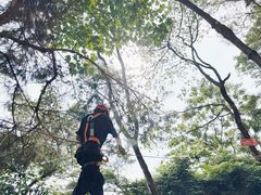 -芦仙山景区-飞越丛林探险乐园