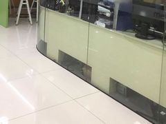 -美联英语(绿宝中心)