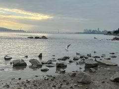-深圳湾公园(南山区)