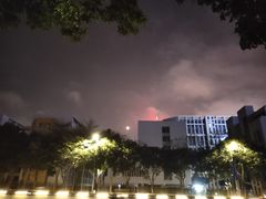 -东风公园
