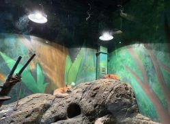 -萌宠亲子动物乐园(槐房万达店)