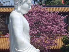 -天竺岩寺