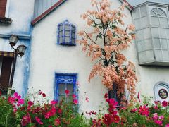 -紫颐香薰山谷景区