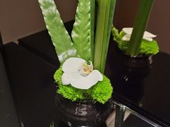 -长沙尼依格罗酒店
