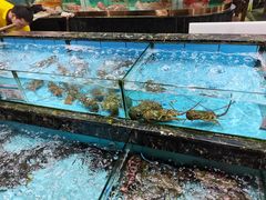 -顺风山庄(水濂山店)