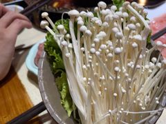 -蜀家渝重庆火锅(南屏街店)