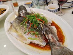 -津津菜馆(绝没分店)