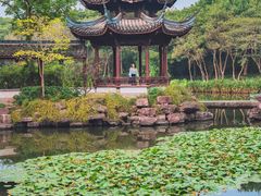 -西溪国家湿地公园