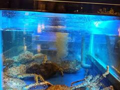 -粤珍轩.创始店.始于2001(含光门店)