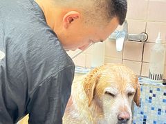 -FAELING PETS美天灵宠物(富力广场店)
