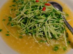 -肴约·花园式餐厅(湖里店)