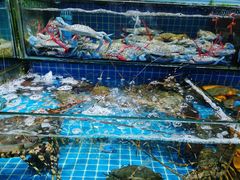 水产区-渔人湾码头海鲜市场负二楼