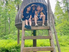 -黄海国家森林公园