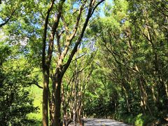 -随园餐厅自助早餐(祥生大酒店)