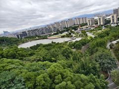 -飞凤山奥体公园