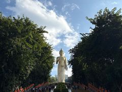 -西双版纳勐泐文化旅游区