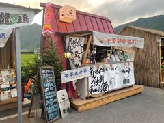 -龙坞茶村