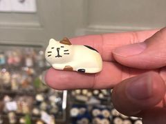 -猫咪博物馆(顶澳仔猫街店)