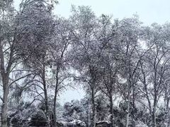 -湖北省博物馆