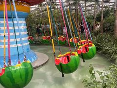 -南宫五洲植物乐园