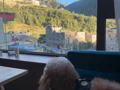 -四姑娘山阿巴郎·藏式花园餐厅