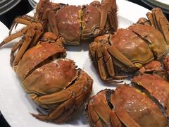 -安蒂娅·海鲜自助餐厅(安蒂娅美兰酒店)