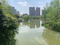 -洋湖国家湿地公园