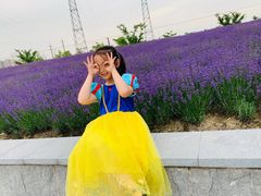 -菊园百果园