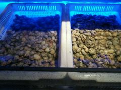 -星伦多自助料理·涮烤一体(嘉兴八佰伴店)