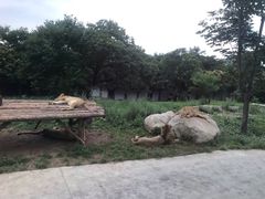 -西安秦岭野生动物园