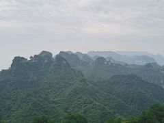 -王莽岭风景区