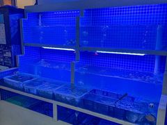 -威海渔村(静安旗舰店)