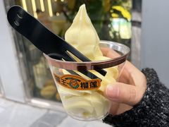 榴莲冰淇淋-猫王榴莲世家(三里屯SOHO商场店)