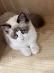 -花系美·美甲美睫精品店