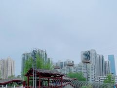 -水车博览园