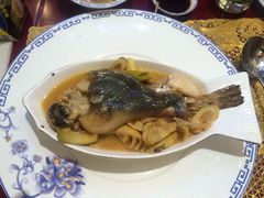 -孔庆璞河豚馆(白玉兰酒店)