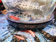 海鲜池-德胜轩正宗顺德菜(宝安沙井会展中心店)