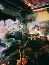 -恐龙探索乐园(磁器口店)