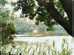 -重庆彩云湖湿地公园