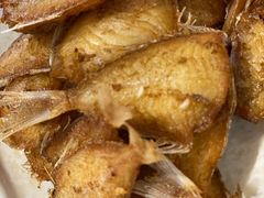 五香扒皮鱼-泰来风味馆(桂林街店)
