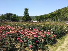 -龙寺生态园