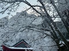 -武当山风景区