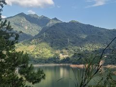 -广州市流溪河国家森林公园