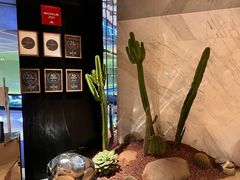 -CHIC1699远洋私厨