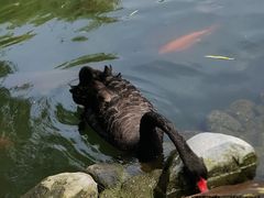 -天毓山庄·餐厅